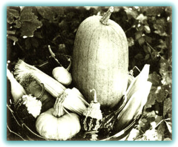 Cooking With Pumpkin: A Creative Challenge Image